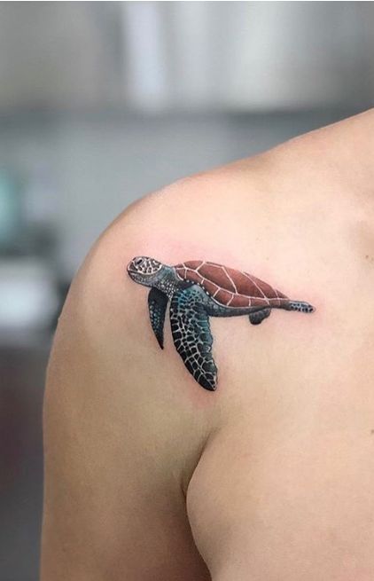 Caretta Caretta Tattoo - TattManiaTattMania Redo Tattoo, Turtle Tattoo Ideas, Small Spiritual Tattoos, Ocean Life Tattoos, Minimalist Tattoo Design, Tortoise Tattoo, Beachy Tattoos, Turtle Tattoos, Sea Turtle Tattoo