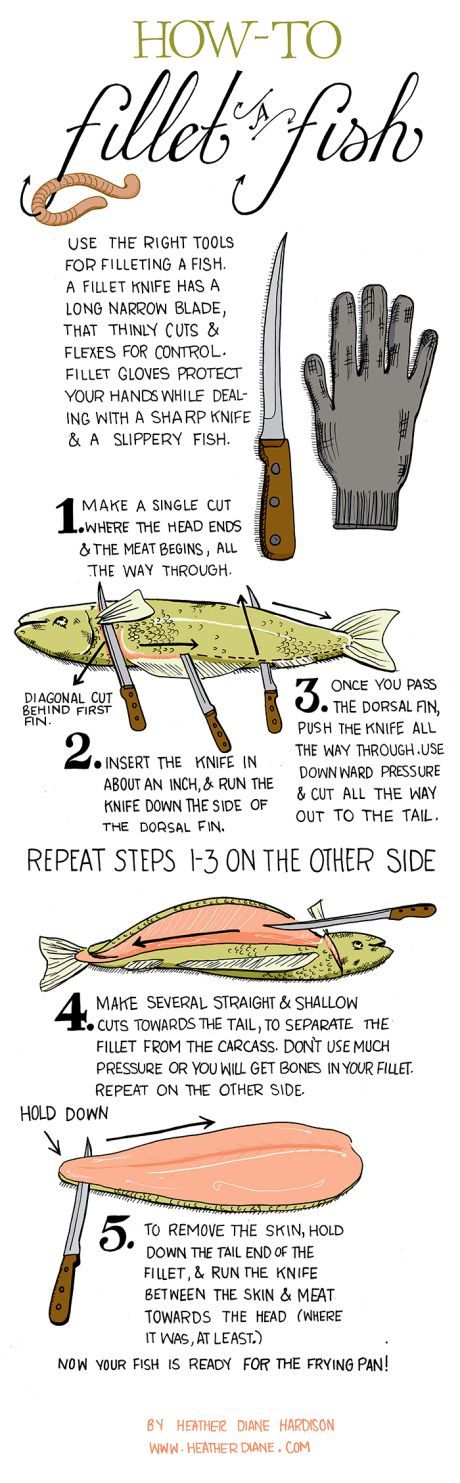 This is an EXCELLENT and easy to learn skill! My mom used to fry fish whole, and this often left them RAW in the thickest parts---YUCK! How to filet a fish. Fish Infographic, Slippery Fish, Fish Camp, Going Fishing, Camping Survival, Fried Fish, Survival Tips, Fishing Tips, Survival Skills