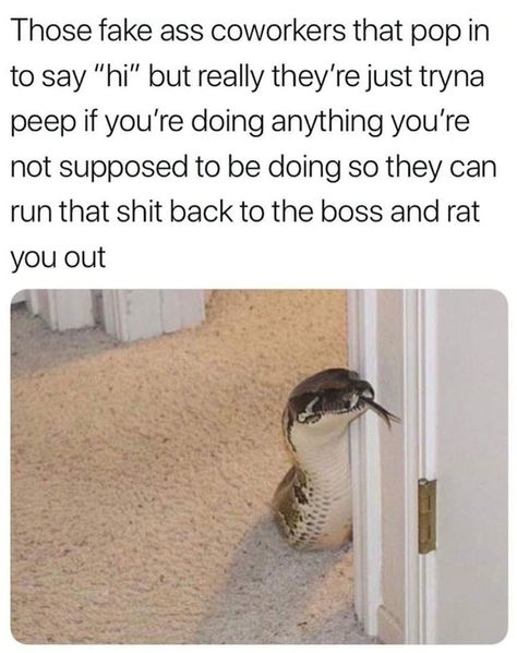 co-worker, nark, snake Retail Humor, Coworker Quotes, Workplace Humor, Funny Sports Memes, Facebook Humor, Office Humor, Work Memes, Nurse Humor, Sports Humor