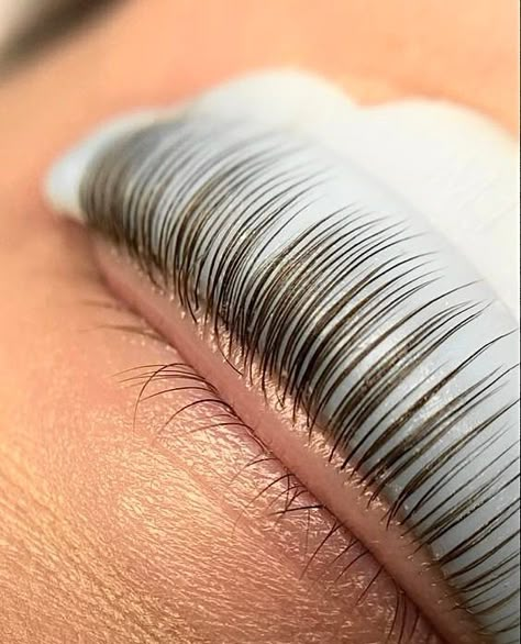 Lash Lift Photography, Lash Lift Content, Esthetics Pics, Lashes Esthetics, Lash Lift Aesthetic, Lash Lift And Tint, Eyelash Lift And Tint, Blush Pink Nails, Lash And Brow Tint