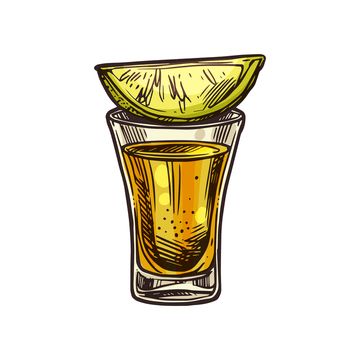 Alcohol Png Aesthetic, Shot Glass Illustration, Shots Illustrations, Tequila Bottle Drawing, Cocktail Glass Drawing, Tequila Drawing, Vodka Drawing, Shot Glass Drawing, Shot Glass Tattoo