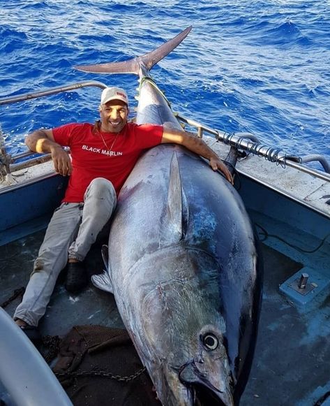 970lb Tuna Tuna Fishing, Salt Water Fish, Offshore Fishing, Salmon Fishing, Ocean Fishing, Fishing Guide, Deep Sea Fishing, Fishing Girls, Catching Fish