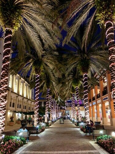 West Palm Beach Night Palm, Downtown West Palm Beach, Street Mall, Dream Honeymoon, Florida Life, West Palm Beach Florida, Florida City, Florida Trip, Florida Living