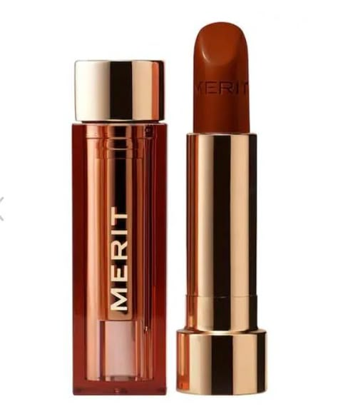 Amazon.com : Merit Signature Lip Lightweight Satin Lipstick - 0.10 oz / 3 g (Tiger (brick red), standard) : Beauty & Personal Care Merit Lipstick, Merit Signature Lip, Satin Lipstick, Beauty Lipstick, Brick Red, Beauty And Personal Care, Lips, Personal Care, Laptop