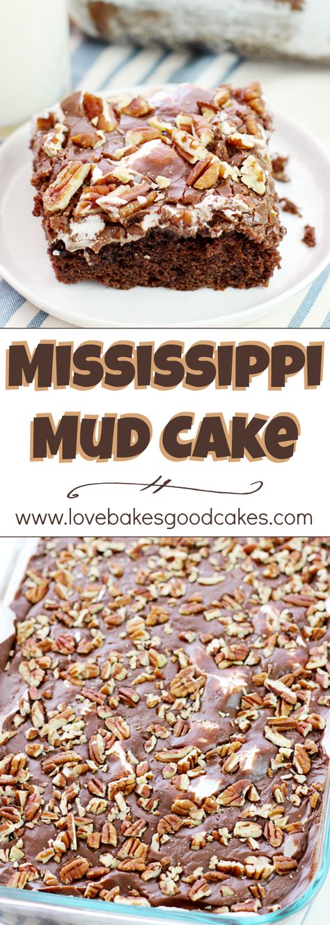 Mississippi Mud Cake - a Southern classic cake with chocolate, marshmallows, and pecans! Everyone asks for THIS recipe!! Mississippi Mud Cake, Mud Cake Recipes, Mississippi Mud, Southern Desserts, Mud Cake, Gateaux Cake, Chocolate Marshmallows, Moist Chocolate Cake, Classic Kitchen