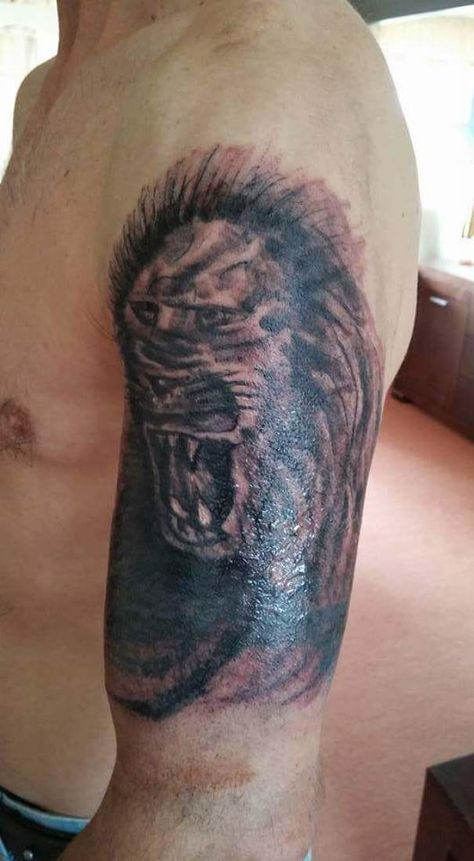 Erm... A Lion? Fail Tattoos, Sock Tattoo, Fierce Tattoo, Terrible Tattoos, No Regrets Tattoo, Tattoo Fails, Bad Tattoos, Head Tattoos, Funny Tattoos