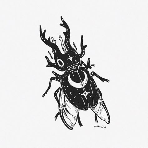 Illustrative Tattoo Style Drawings, Cute Bug Drawing, Tattoo Art Styles, Pretty Bugs, Cicada Tattoo, Beetle Drawing, Bugs Drawing, Beetle Tattoo, Little Drawings