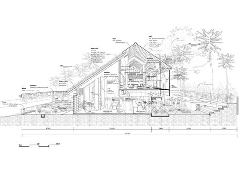 Gallery of Micro Tropicality, RAD+ar HQ / RAD+ar (Research Artistic Design + architecture) - 40 Tropical Architecture, Architectural Section, Design Guidelines, Building Section, Diagram Architecture, Tropical Houses, Pitched Roof, Green Roof, Local Design