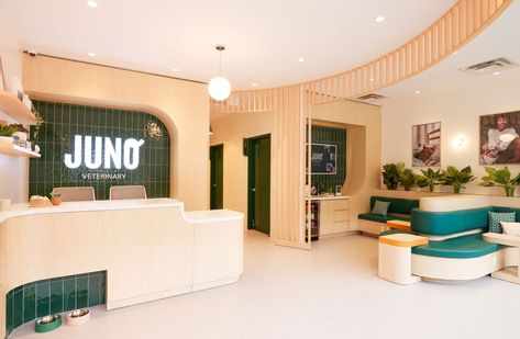 Inside Juno Veterinary: How Toronto’s newest vet clinic is reinventing pet care Pet Store Interior Design, Vet Clinic Reception Area, Vet Waiting Room, Architecture For Animals, Vet Clinic Decor, Veterinary Clinic Design Receptions, Pet Clinic Design, Pet Shop Interior, Veterinary Clinic Ideas