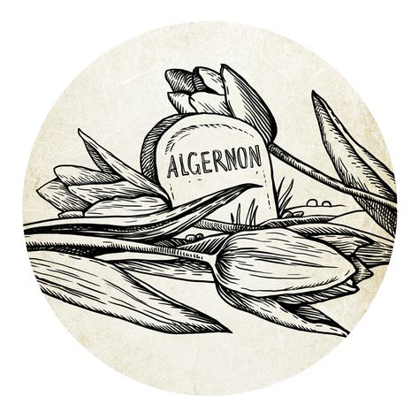 Flowers for Algernon Flores Para Algernon, Flowers For Algernon, I Hope, Drawings, Flowers