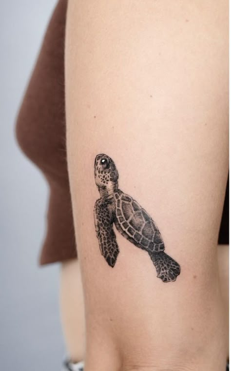 Turtle Cover Up Tattoo, Mini Turtle Tattoo, Hawaii Inspired Tattoos, Hawaii Tattoo Ideas, Coastal Tattoos, Hawaiian Turtle Tattoos, Small Turtle Tattoo, Hawaii Tattoo, Our Mindful Life