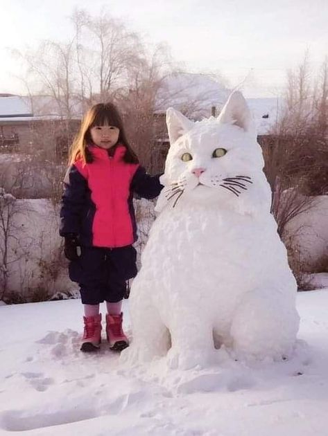 Snow Cats Winter, Snow Sculptures Ideas, Cat Snowman, Outdoor Snowman, Winter Wonderland Wallpaper, Snow Humor, Snowshoe Cat, Huge Cat, Puppy And Kitten