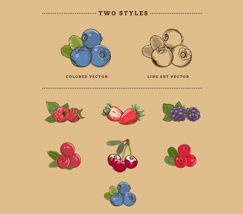 Berries in Vintage Style - Design Template Place Berry Illustration, Berries Illustration, Alcohol Branding, Frozen Yogurt Bites, Photoshop Drawing, Yogurt Bites, Berry Bushes, Line Art Vector, Fruit Illustration