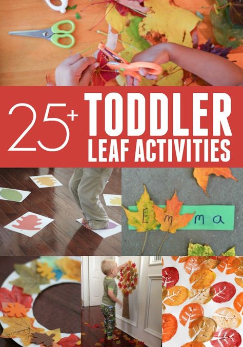 25+ Leaf Activities for Toddlers - Toddler Approved Fall Toddler Process Art, Fall Art Activity For Toddlers, Toddler Process Art Fall, Fall Toddler Art Projects, Leaf Toddler Activities, Leaves Art For Toddlers, Fall Toddler Crafts Easy, Fall Process Art For Toddlers, Leaves Activities For Toddlers