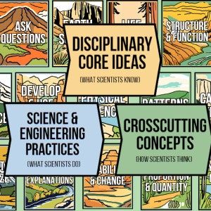 Ngss Bulletin Board Ideas, Forest Themed Classroom, Vintage National Park, Core Ideas, Science Engineering, 4th Grade Science, Class Theme, Tourism Poster, Structure And Function