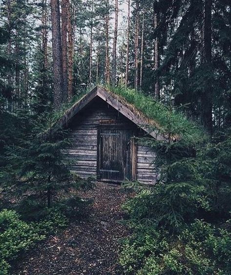 Cute Cabins, Cabin Inspiration, Forest Cabin, Off Grid Cabin, Cozy Cabins, Cottage Cabin, Cabins And Cottages, Cabin Life, Forest House