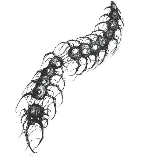 Centipede With Face Tattoo, Thorn Flower Tattoo, Centipede Sketch, Centapeid Tattoo Design, Centipede Spine Tattoo, Kaneki Centipede Tattoo, Centipede Illustration, Japanese Centipede, Flail Tattoo Design