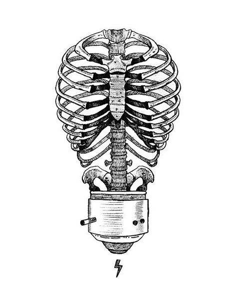 Skeleton Artwork, Light Bulb Art, Skeleton Art, Desenho Tattoo, Tattoo Flash Art, Arte Sketchbook, Pencil Art Drawings, Tattoo Design Drawings, Anatomy Art