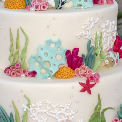 Fondant Coral Reef, Underwater Theme Cake, Geography Cake, Fondant Coral, Coral Reef Cake, Underwater Cake, Marine Cake, Coral Cake, Melon Cake