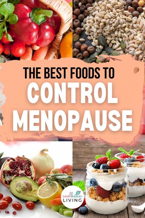 Pre Menaupose Diet, Menaposal Foods, Best Foods To Eat In Your 40s, Food For Menopausal Women, Best Food For Menopausal Women, Natural Remedies For Menopausal Symptoms, Recipes For Menopausal Women, Diet For Menopausal Women, Best Diet For Menopausal Women