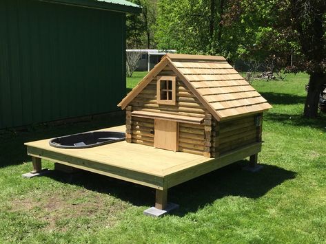 Quack Shack, Wood Duck House, Duck Pool, Duck Houses, Duck Pens, Sustainable Farm, Backyard Ducks, Duck Coop, Duck Farming