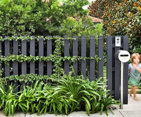 10 best landscapers in Australia Black Fences, Mailbox Landscape, Fence Paint Colours, Landscape Australia, Mailbox Landscaping, Black Fence, Front Fence, Garden Vines, Fence Paint