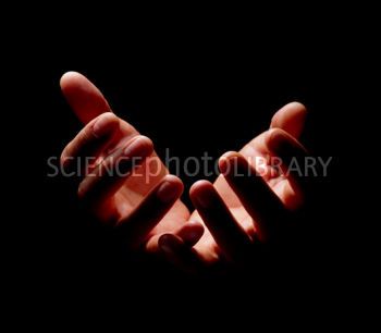 Hands Cupping Reference, Cupped Hands Reference, Hand Front View, People Base, Finger Curls, Hand Palm, Cupped Hands, Hand Reference, Face Reference