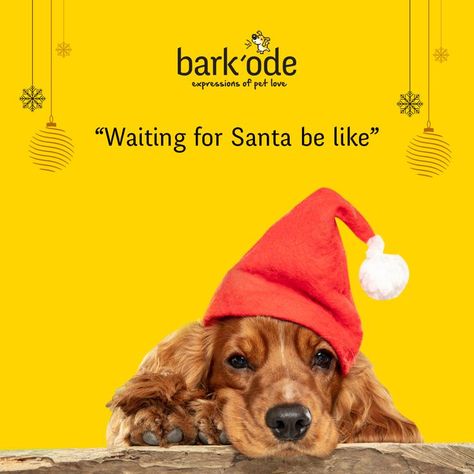 Christmas is near, and its coming, Be merry! Be happy! For more details call: +91 98478 53680 . . . . . . #barkode #barkodepets #trivandrum #Christmas #xmas #celebration #petgrooming #petshop #petclinic #petfood #petstore #petservices #pet #dog #pets #dogs #grooming #petshoponline #doglovers #instapet #catlovers #instadog #dogsofinstagram #cats #puppy #doglover #petdress #petcostume #dressforpets Product Poster Design Marketing, Pet Advertising, New Year Post, Christmas Advertising, Its Coming, Dogs Grooming, Happy New Year Design, Dog Pets, Pet Clinic