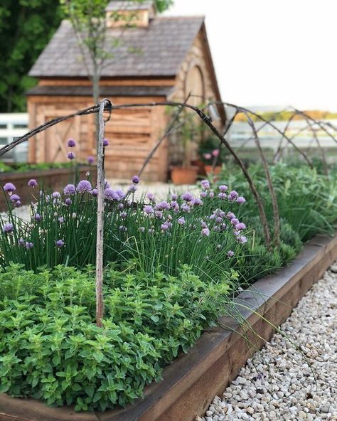 Image Joanna Gaines Garden, Raised Vegetable Gardens, Magnolia Farms, Building A Raised Garden, Potager Garden, Garden Types, Joanna Gaines, Garden Layout, Veggie Garden