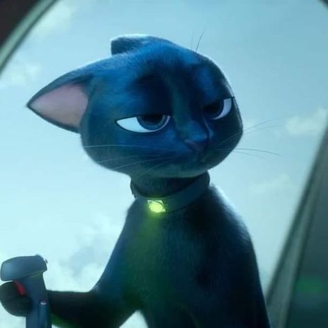 Luck 2022, Lucky Film, Luck Movie, Movie Black, Secret Life Of Pets, Best Icons, Animation Movie, Kawaii Cat, Cartoon Movies