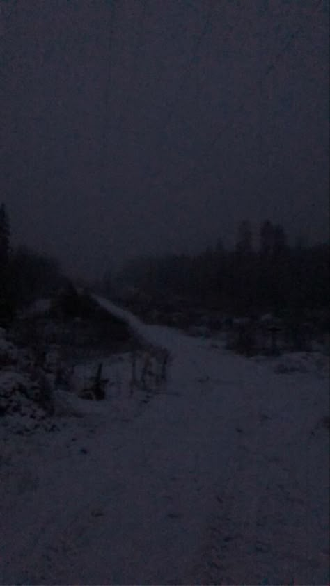 Dark Snow Aesthetic, Goth Architecture, Dark Snow, Blue Hour Photography, Poison Tree, Dark Naturalism, Snow Aesthetic, Dark Landscape, Liminal Space