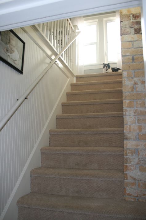 Stairwell Storage, Basement Stairway, House Basement, Bead Board Walls, Stair Wall, Staircase Wall, Basement House, Craftsman Home, Bead Board