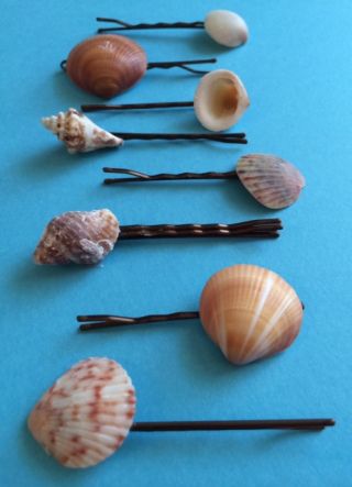 Bobby Pins Diy, Seashell Jewelry Diy, Hair Pins Diy, Sea Shells Diy, Hair Items, Shell Jewellery, Shells Diy, Convention Gifts, Kids Part