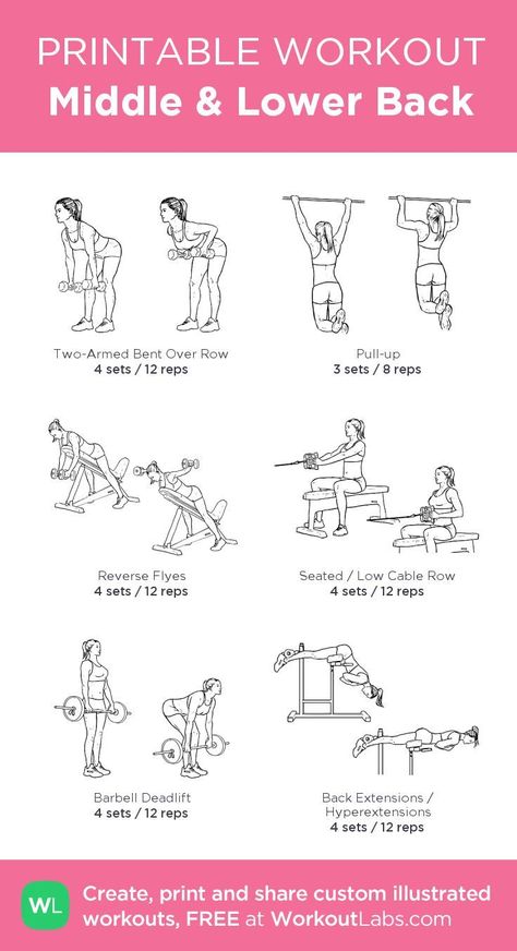 Gym Workout Plan, Back And Shoulder Workout, Workout Labs, Fitness Studio Training, Workout Gym Routine, Printable Workout, Gym Workout Plan For Women, Gym Plan, Arm Workout Women