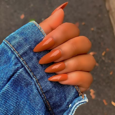 Pin by Only Girlx on N a i l s in 2022 | Red orange nails, Orange nail designs, Simple fall nails https://www.pinterest.com/pin/trendiest-fall-nail-designs-for-2022-that-you-have-to-save-try-it-this-fall-to-look-super-special-in-2022--974396069352154863/ Shades Of Orange Nails, Dark Orange Nails, Burnt Orange Nails, Red Orange Nails, Quinceñera Ideas, Fall Toe Nails, Bts Hairstyle, Orange Acrylic Nails, Neutral Nail Color