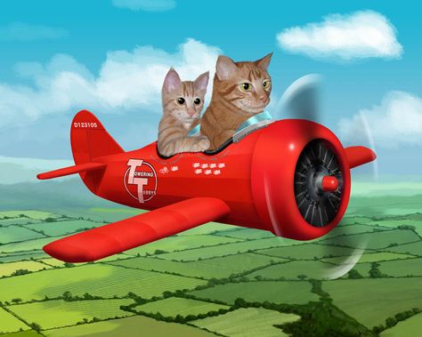 Cats on a plane Cat Hd Wallpaper, Plane Drawing, How To Draw Ears, Flying Cat, Kitten Lover, Kid Friendly Travel Destinations, Vibes Wallpaper, Kid Friendly Trips, World Images