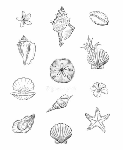 Ocean Art Tattoo, Small Conch Shell Tattoo, Tattoos Beach Theme, Seashell Tattoos For Women, Art Lover Tattoo, Sea Shell Tattoo Design, Small Coastal Tattoos, Sea Shells Tattoo Ideas, Seashell Tattoo Design