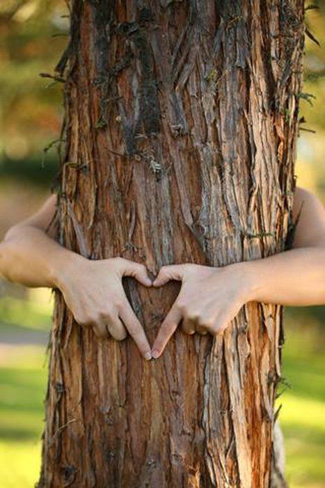 Tree Huggers. The Unspoken History of Indian Environmental Martyrs | Ancient Origins Image St Valentin, Hug Life, Tree Hugger, New Forest, Jolie Photo, The Shape, Mother Earth, A Tree, A Heart