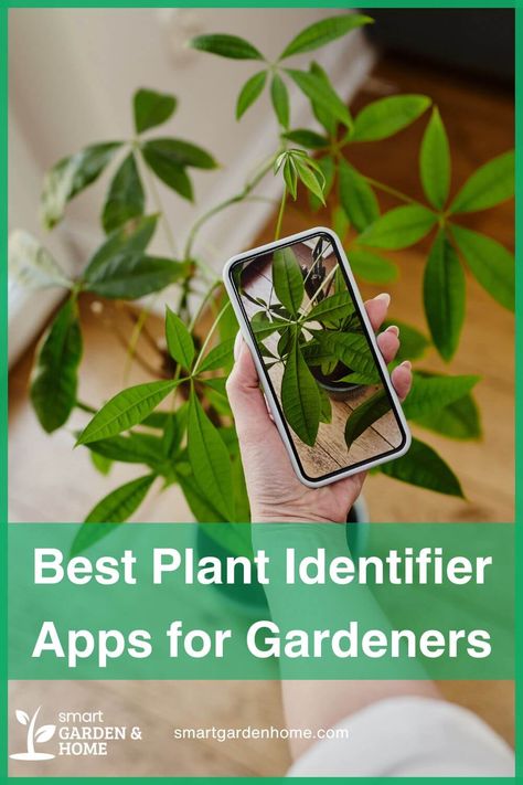 Calling all gardeners!

These plant identification apps are here to make your gardening journey easier and more enjoyable.

From free options to premium features, find your perfect match now! Plant Identification App, Helpful Apps, Composting Methods, Garden Compost, Smart Garden, Plant Diseases, Plant Identification, Plant Species, Cool Plants