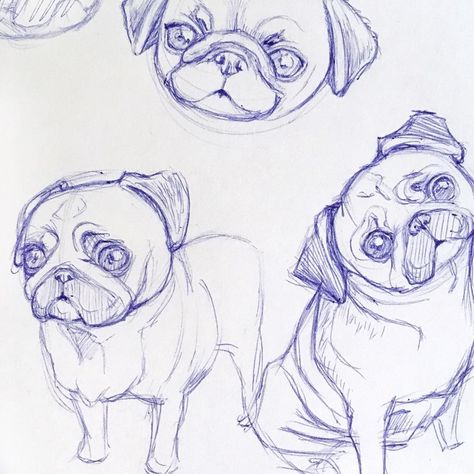 Pug Dog Drawing, Pugs Drawing, Pug Sketch, Pug Drawing, Mop Dog, Pug Illustration, Puppy Sketch, Pug Art, Childrens Books Illustrations