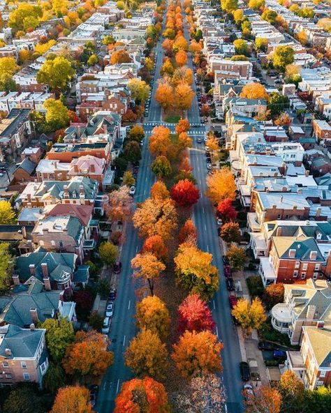 RVA Magazine on Instagram: "Fall in The Fan is really something special 🍂��🍁🍂🍁 Thank you to @airva_photo for sharing this with us. #halloween #halloweek #richmond #thingstodo #richmondva #rvamag #rva" The Fan Richmond Va, O Week, Richmond Va, Pumpkin Patch, Something Special, Virginia, Vision Board, Things To Do, Thank You