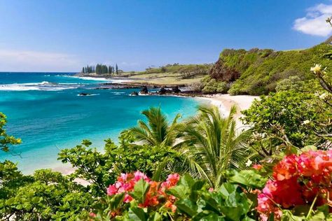 Beautiful Beaches Hawaii, Tropical Places, Plants Photo, Hawaii Destinations, Hawaiian Vacation, Trip Essentials, Tropical Beaches, Beach Background, Sunset Nature