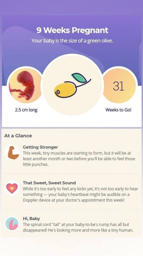 9 Weeks Pregnant, Baby Countdown, Pregnancy Week, 1st Trimester, Mommy Time, Fetal Development, Trimesters Of Pregnancy, Weeks Pregnant, Mom Era