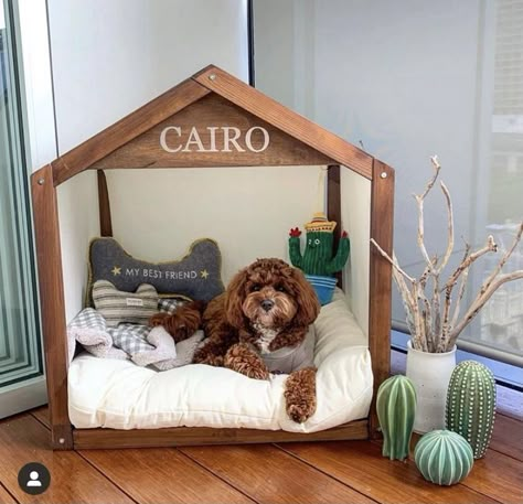 Small Dog Crate Ideas, Dog Bedroom Ideas, Dog House Inside, Stairs Dog House, Under Stairs Dog House, Fancy Dog Beds, Wood Couch, Dog House Ideas, Small Dog House