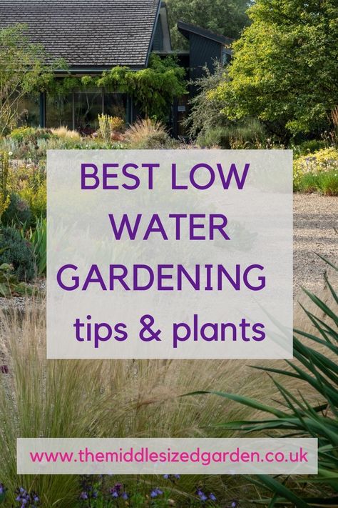 Expert advice from the Beth Chatto dry garden - drought tolerant landscaping tips and plants which would work for Australian garden design, Mediterranean gardens or any low water gardening zone. #middlesizedgarden #backyard #garden #gardening Drought Garden Landscape Design, Drought Tolerant Plants Australian, Low Maintenance Garden Australian, Low Water Garden, Cottage Garden Drought Tolerant, Salt Tolerant Plants Coastal Gardens, South African Plants Drought Tolerant, Drought And Frost Tolerant Garden Australian, Mediterranean Gardens