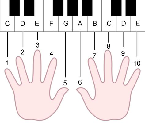 Piano Worksheets, Piano Hands, Piano Teaching, Music Class, Keyboard Piano, Learn Piano, Peace Gesture, Free Printables, Keyboard