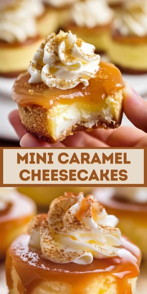 Mini Caramel Cheesecakes Mini Cheesecakes Caramel, Mini Caramel Cheesecake Recipes, Caramel Cheesecake Cupcakes, Easy Cheesecake Cups No Bake, Caramel Mini Cheesecakes, Mini Cheesecakes For Thanksgiving, Salted Caramel Cheesecake Cupcakes, Thanksgiving Mini Cheesecakes, Mini Pecan Pie Cheesecakes