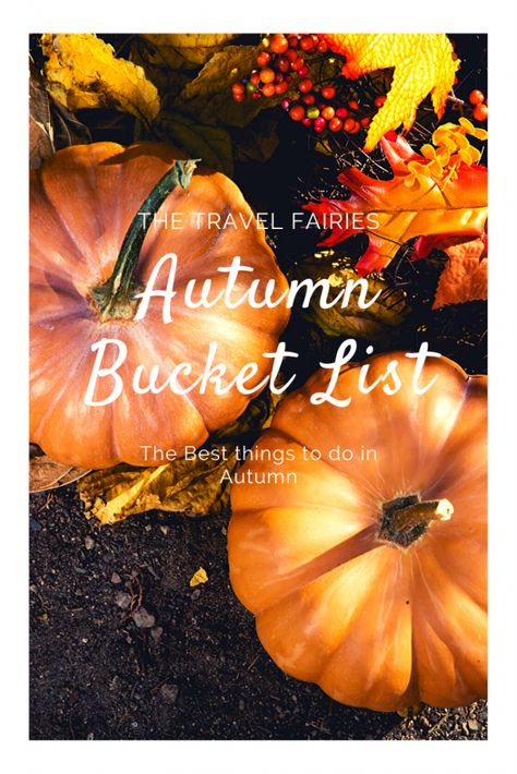 Autumn Bucket List Uk, Australia Autumn, Autumn Bucket List, Halloween Attractions, Autumn Things, Horse Chestnut Trees, Scary Films, Time To Travel, Autumn Ideas