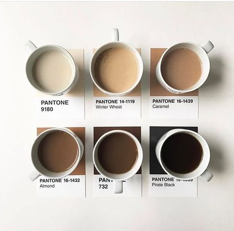 The Basics of Coffee Branding & Design Coffee Design Ideas Brewed to Perfection Cups Of Coffee, Minimalist House Design, Color Cafe, Brown Aesthetic, Coffee Colour, Corporate Design, Coffee Love, Coffee Addict, Gigi Hadid