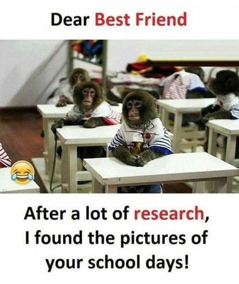 Dear Bestie, Quotes Pretty, Friend Jokes, Inspirational Memes, Dear Best Friend, Memes Life, Bff Quotes Funny, Humor Hilarious, School Quotes Funny